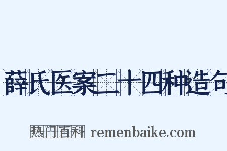 薛氏医案二十四种造句是什么意思的图片